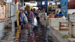 videos:-chuva-causa-alagamentos-em-maceio;-mercado-da-producao-foi-um-dos-mais-afetados