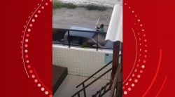 video:-homem-e-preso-apos-danificar-carros-e-loja-com-barra-de-ferro-em-maceio