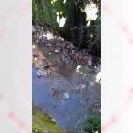 video:-feto-e-encontrado-em-esgoto-na-grota-do-cigano,-em-maceio