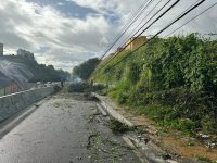 arvore-cai,-derruba-poste-e-interdita-parte-da-avenida-leste-oeste,-em-maceio