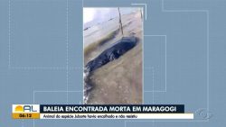 videos:-bom-dia-alagoas-de-terca-feira,-11-de-julho