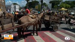 carroceiros-protestam-na-ladeira-dos-martirios,-no-centro-de-maceio