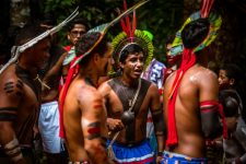 al-tem-mais-de-25-mil-indigenas,-segundo-o-censo-do-ibge