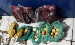 vigilante-preso-furtando-merenda-de-escola-em-maceio-e-afastado-do-cargo