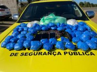 quase-7kg-de-cocaina-sao-encontrados-escondidos-em-caixa-de-som-no-agreste-de-al