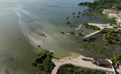 tcu-da-5-dias-para-que-braskem-e-orgaos-deem-explicacoes-sobre-problema-em-mina-de-maceio