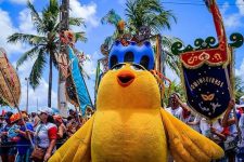 pinto-da-madrugada-confirma-desfile-nas-previas-de-carnaval-de-maceio;-veja-data