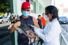 vacinacao-contra-raiva:-veja-onde-imunizar-caes-e-gatos-em-maceio-neste-fim-de-semana