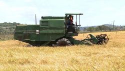 videos:-gazeta-rural-de-domingo,-28-de-janeiro