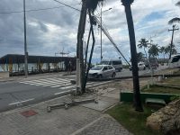 ventania-derruba-arvores-e-causa-prejuizos-em-maceio