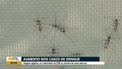 dengue-em-maceio:-saiba-quando-e-onde-buscar-atendimento-medico